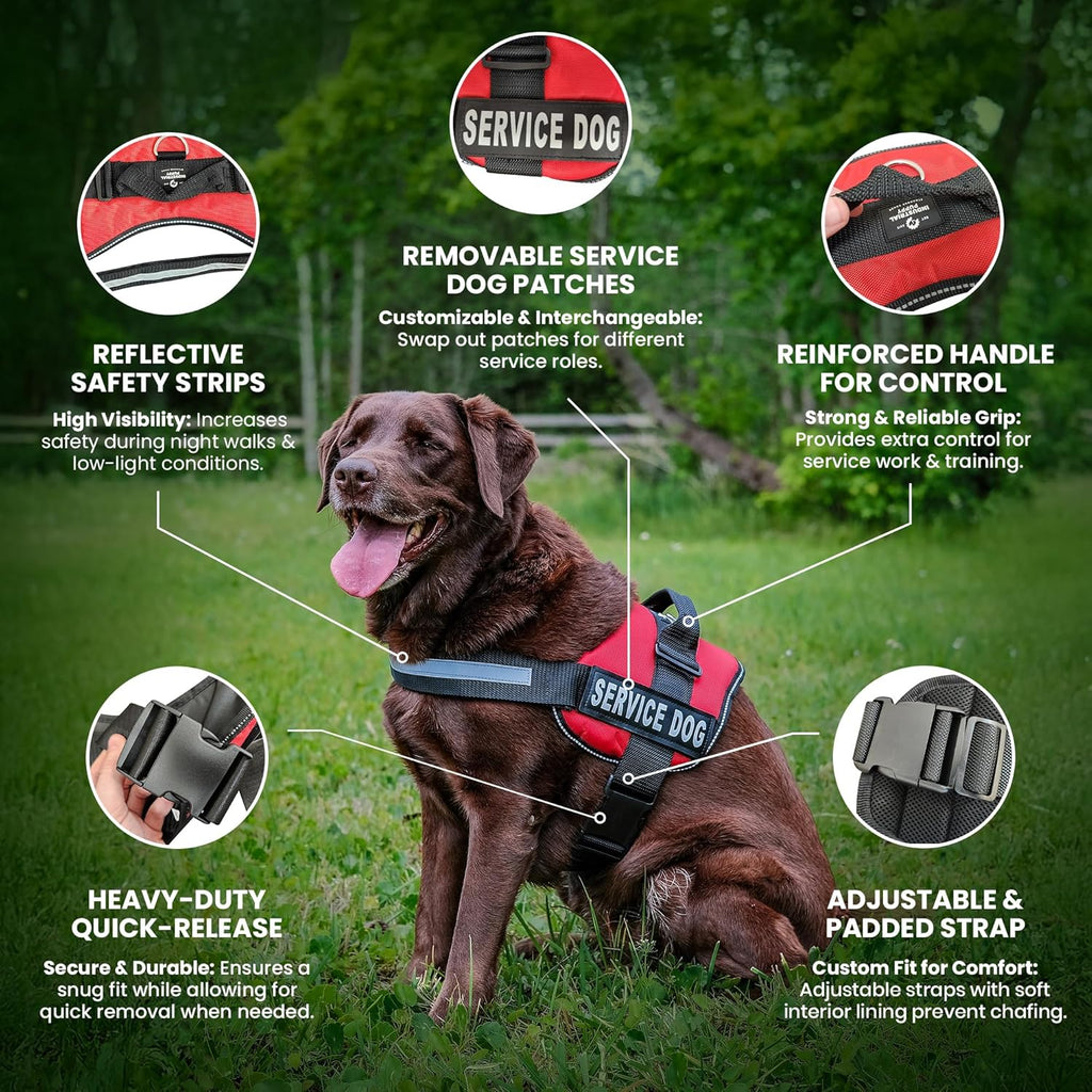 Premium Red Service Dog Vest with Matching Leash - Comfortable, Durable Harness for Small & Large Breeds with Reflective Patches and Versatile Design