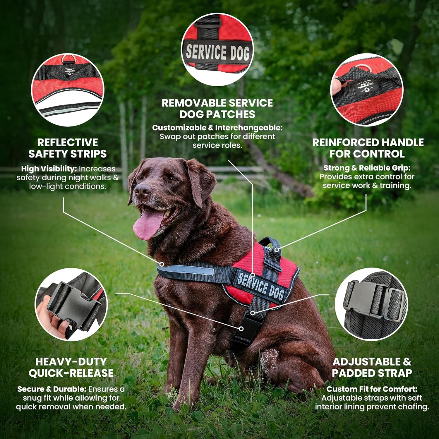 Premium Red Service Dog Vest with Matching Leash - Comfortable, Durable Harness for Small & Large Breeds with Reflective Patches and Versatile Design
